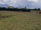 Estate Agents Picture 3