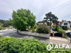 Estate Agents Picture 2
