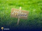 Estate Agents Picture 2