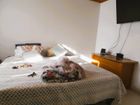 Estate Agents Picture 2