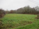 Estate Agents Picture 1