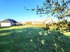 Estate Agents Picture 1