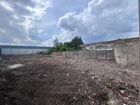 Estate Agents Picture 2