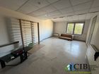 Estate Agents Picture 2