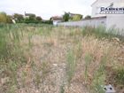 Estate Agents Picture 3