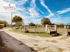 Estate Agents Picture 2
