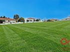 Estate Agents Picture 1