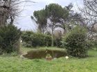 Estate Agents Picture 1