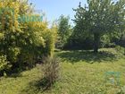 Estate Agents Picture 3