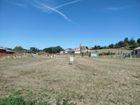Estate Agents Picture 3