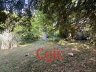 Estate Agents Picture 1