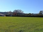 Estate Agents Picture 2
