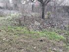 Estate Agents Picture 2