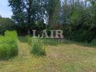 Estate Agents Picture 2