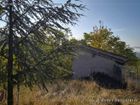 Estate Agents Picture 1