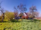Estate Agents Picture 3