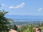 Estate Agents Picture 3