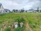 Estate Agents Picture 2
