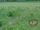 Estate Agents Picture 3
