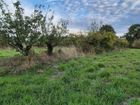 Estate Agents Picture 3