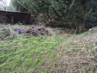 Estate Agents Picture 2