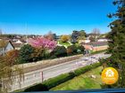 Estate Agents Picture 3