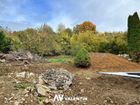 Estate Agents Picture 3