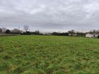 Estate Agents Picture 1