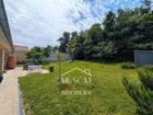 Estate Agents Picture 2