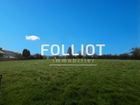 Estate Agents Picture 3