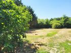 Estate Agents Picture 2