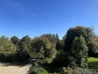 Estate Agents Picture 1