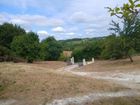 Estate Agents Picture 1