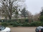 Estate Agents Picture 2