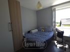Estate Agents Picture 2