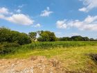 Estate Agents Picture 1
