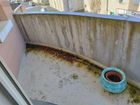 Estate Agents Picture 2