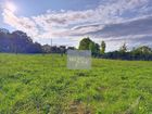 Estate Agents Picture 1