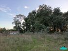 Estate Agents Picture 1