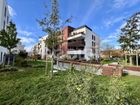 Estate Agents Picture 1