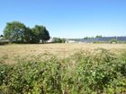 Estate Agents Picture 3