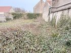 Estate Agents Picture 2