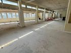 Estate Agents Picture 1