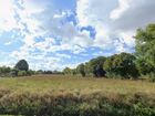 Estate Agents Picture 2