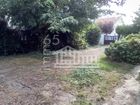 Estate Agents Picture 1