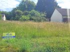 Estate Agents Picture 1
