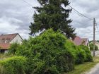 Estate Agents Picture 3