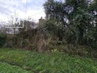 Estate Agents Picture 2