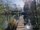 Estate Agents Picture 1