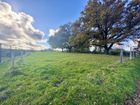 Estate Agents Picture 2